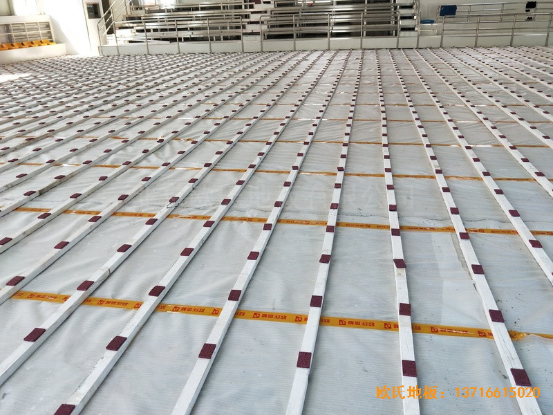 ɽ���x�Ǻ�ʥ������˾�@���^�\�ӵذ�ʩ������1