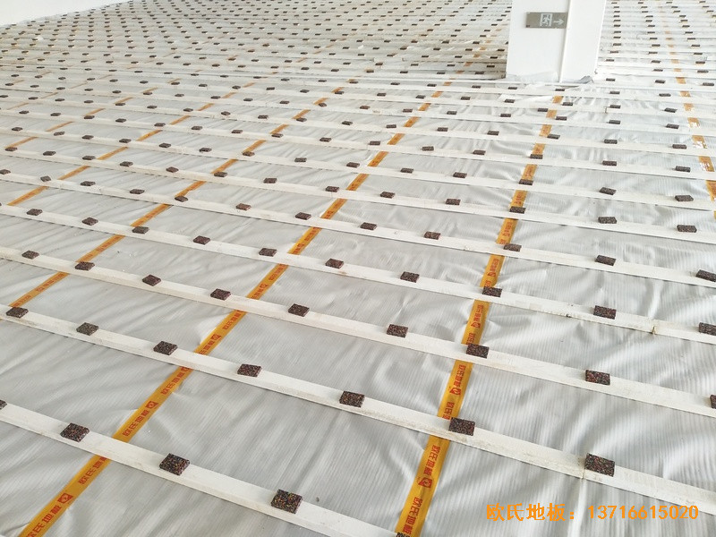 �Ĵ����e���R�ی��WУ�w���^�\��ľ�ذ���O����1