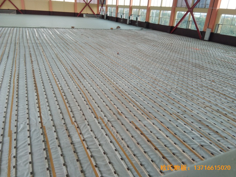 ɽ�|��(j��)�������p�Z(y��)�W(xu��)У�@���^�\(y��n)��(d��ng)ľ�ذ���b����1