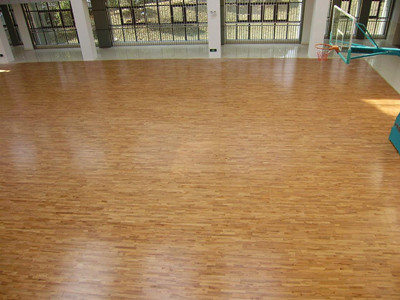 體育運動木地板 體育運動木地板