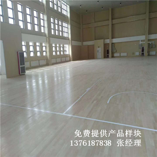 ɽ�|��(j��)��ѩɽС�W(xu��)�@�����w�����^�\(y��n)��ľ�ذ尸��