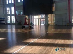 ُ�I��ľ���_�w�����^ľ�ذ��Ă�(g��)Ʒ�ƺ�