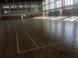 �е��w����(ch��ng)ľ�ذ�S(ch��ng)�҈�(b��o)�r(ji��)