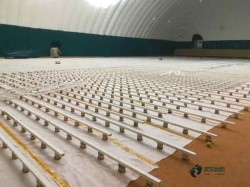 定制籃球館地板品牌大全