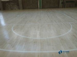 �����w���\��ľ�ذ屣��